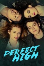 Perfect High (2015)