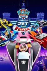 PAW Patrol: Jet to the Rescue (2020)
