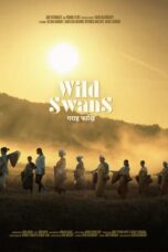 Wild Swans (2023)